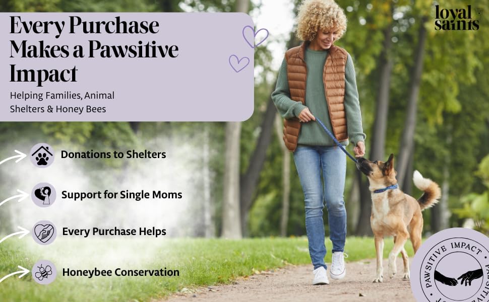 Freeze Dried Raw Dog Food - Beef & Turkey Salmon Flavors, 14 oz. | High Protein and Grain Free Dog Food for All Breeds and Picky Eaters - Versatile as Meal Topper, Snack, and Treats