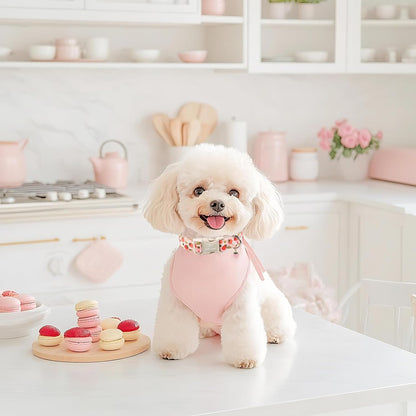 Strawberry Dog Collar for Medium Dogs - Sweet Girl Dog Collars for Spring Summer, Cute Pastel Pink & Floral Fruit Print, Adjustable Puppy Collar with Quick-Release Buckle M