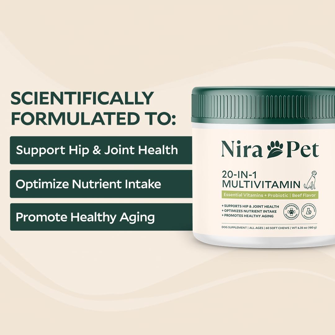 20-in-1 Multivitamin for Dogs – Beef Flavor – 60 Soft Chews with Glucosamine, Probiotics, MSM, Turmeric & Salmon Oil – Joint, Skin, Coat & Digestive Support