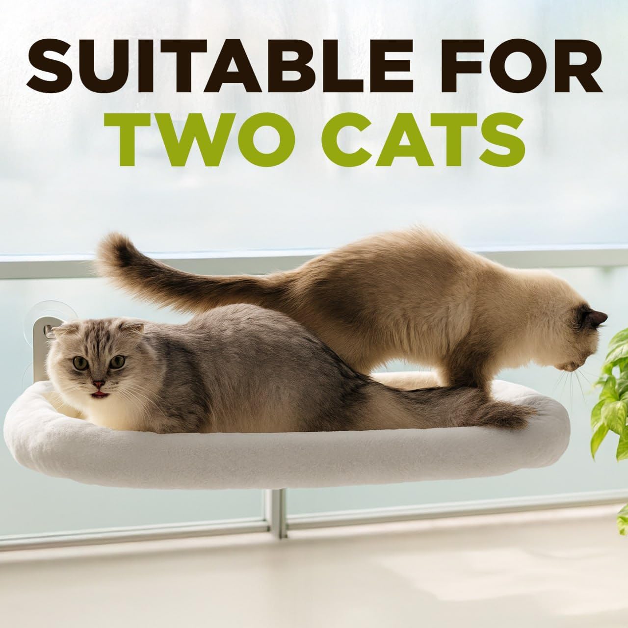 Cat Window Perch – Strong 6 Suction Cup Cat Hammock Bed That Holds up to 50 lbs with Washable Reversible Cover, Sturdy Metal Frame for Indoor, Window or Wall Mounted Perch (White)