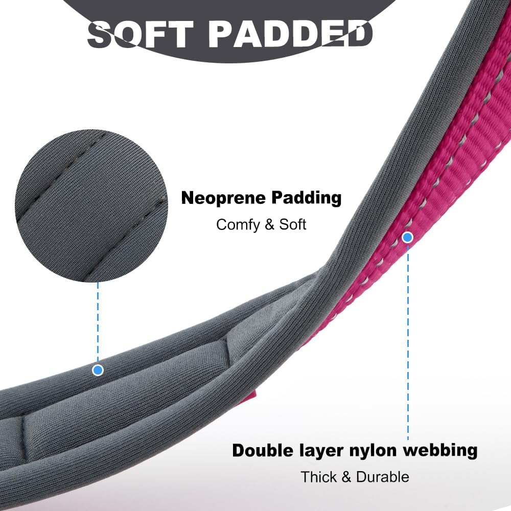 Personalized Dog Collar with Name and Phone Number | Durable Metal Buckle | Ultra Wide Soft Neoprene Padded | Adjustable Reflective Weatherproof Dog Collar for Large Medium and Small Dogs