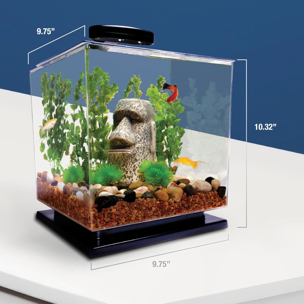 Tetra 3 Gallon Fish Tank, Aquarium Starter Kit with Pedestal Base, LED Light and Filter, For small tropical fish, guppies, goldfish, or betta