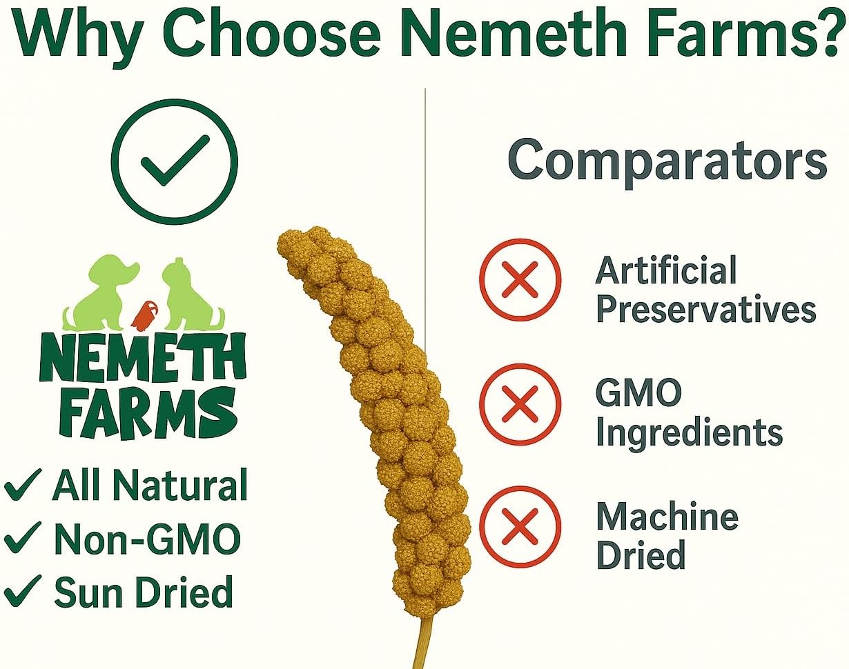 Nemeth Farms Premium Non-GMO Spray Millet Treat | Hand-Harvested Bird Snack | 100% Edible Tops | Sun-Dried Supplement for Parakeets, Cockatiels, Finches, Lovebirds, Canaries