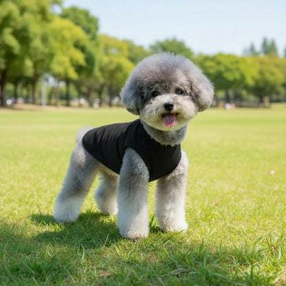 Chol&Vivi Plain Dog Shirt, 4pcs Blank Cotton Shirts Fit for Extra Small to Extra Large Size Dogs, Sleeveless Apparel Soft and Lightweight, Tank Top for All Breeds, Black/Grey/White/Dark Green, Large