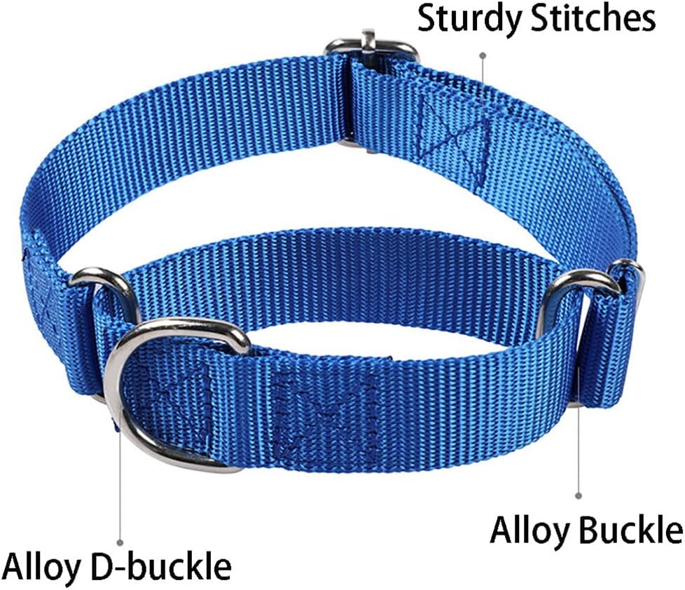 Green Martingale Collar for Dogs, No Pull Dog Choker Collar for Dogs No Slip Training Collars for Small Medium Large Dog, S