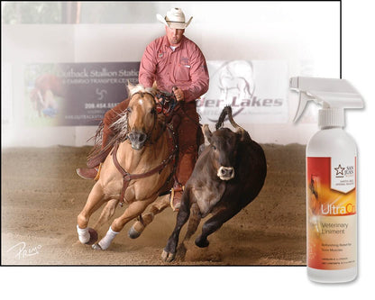 UltraCruz Veterinary Liniment Spray for Horses, 16 oz,sc-395404 (Pack of 2)