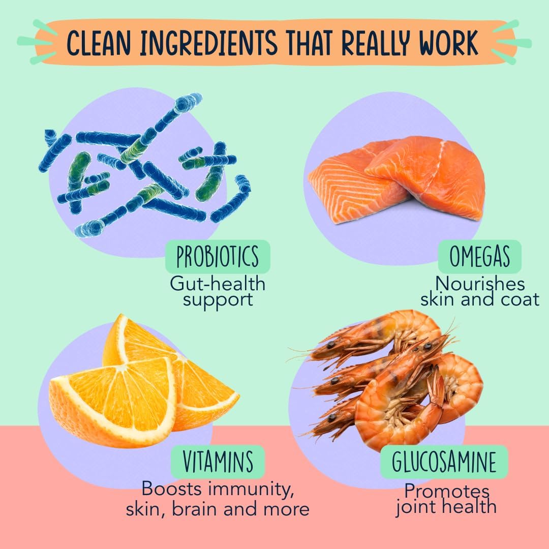 Dog Multivitamin Supplement - Glucosamine, MSM, Chondroitin for Joint Support, Gut Support with Probiotics, Skin and Coat with Omegas-3s - Bacon (120ct)