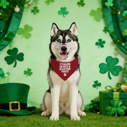 Valentine's Day Dog Bandana, Stealing Hearts and Blasting Farts Quote Pet Bandana, Valentine's Day Pet Photoshoot Accessories, Adjustable Comfortable Triangle Dog Scarf