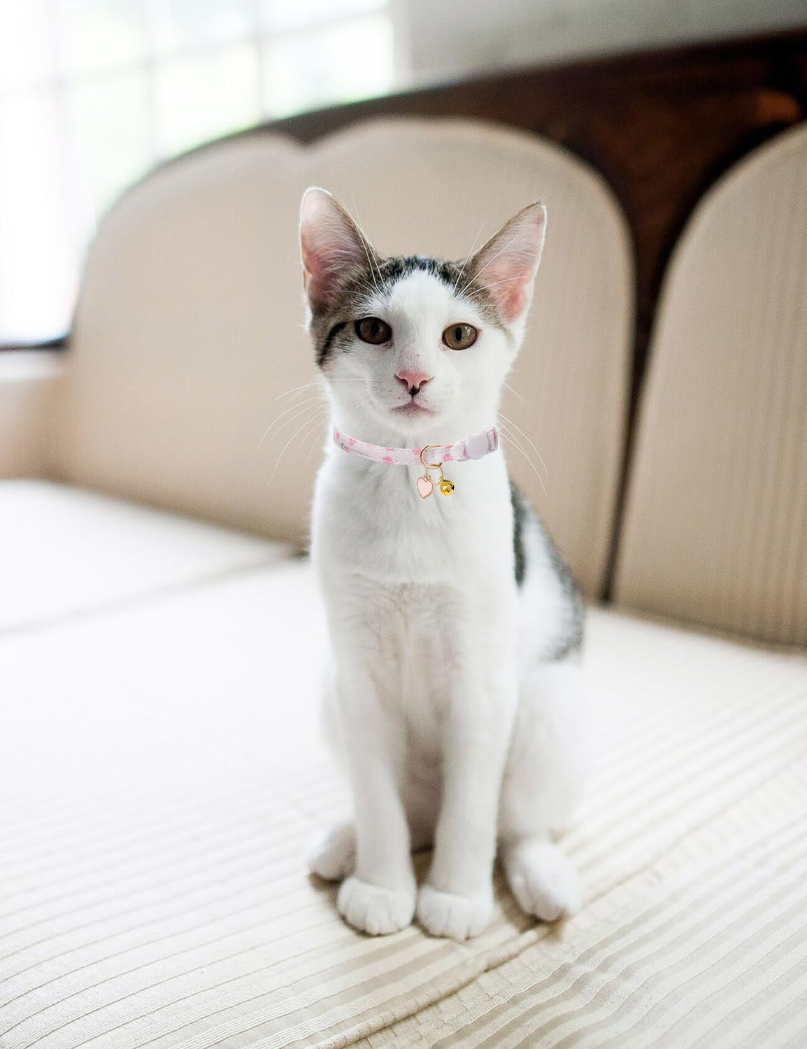 Cat Collar Breakaway with Bells,3 Pack Safety Adjustable Pet Collars,Ideal for Girl Boy Kittens. (White Yellow Pink)