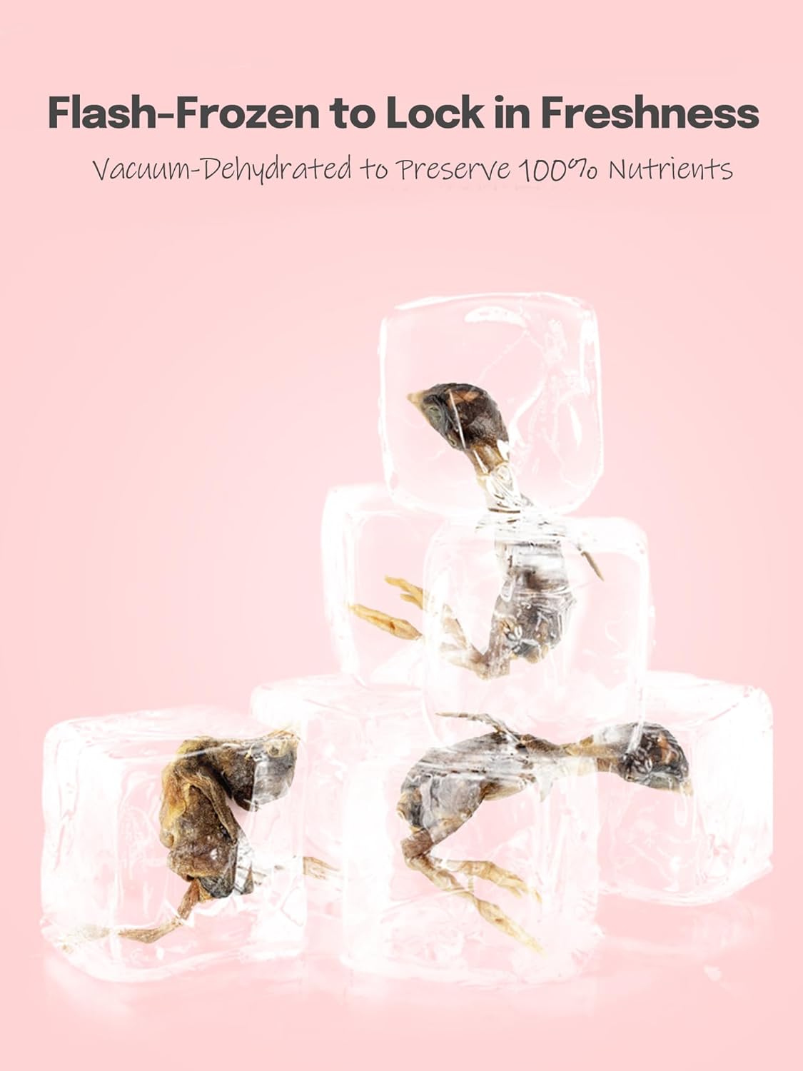 7 OZ Freeze Dried Little Quail Treats for Dogs Cats, High Protein Raw Dog Food, Single Fresh Ingredient Treats, Rawhide Free