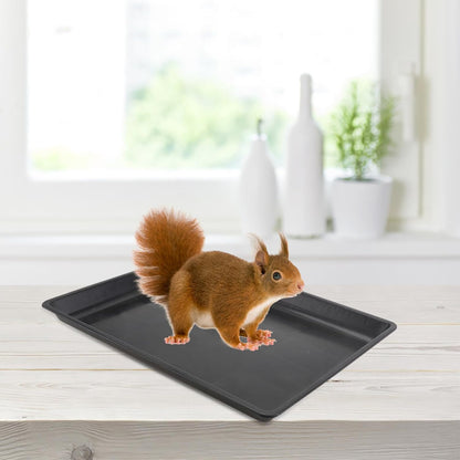 Garneck Dog Crate Replacement Tray 13.38X10.23 Inch Plastic Pet Cage Liner Pan for Dogs Rabbits Cats Small Animals