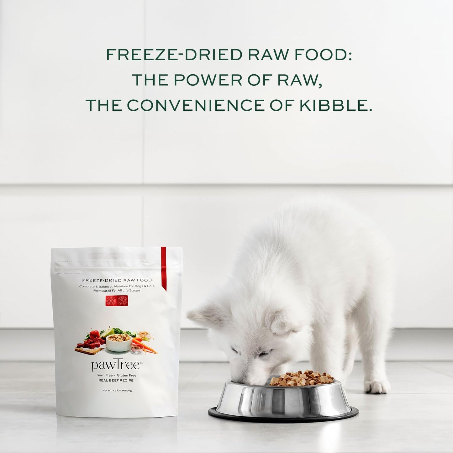 pawTree Freeze-Dried Raw Food for Dogs & Cats. Nutrient-Rich, All-Natural, Complete & Balanced Nutrition. Real Meat, Vegetables & Superfoods, Freeze-Dried for Maximum Nutrition (1.5 lbs, Chicken)