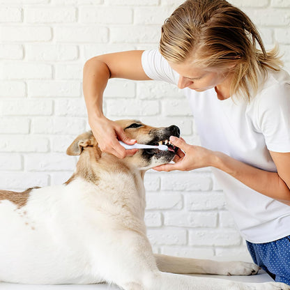 TEHAUX Electric Doggie Toothbrush with Soft Bristles, Puppy Toothpaste Brush for Small Dogs - Pet Puppy Portable Design Electric Brush with Replacement Head Travel Use - Batteries Not Included