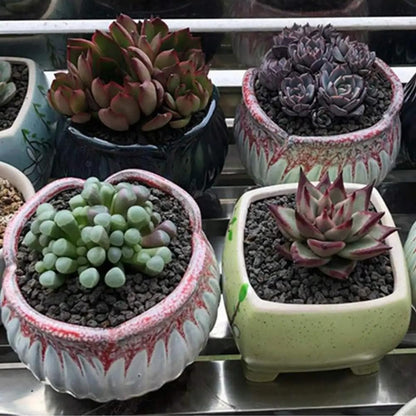 300g Black Horticultural Lava Rock, Volcanic Rock for Plants, Succulents, Garden Landscaping Decoration