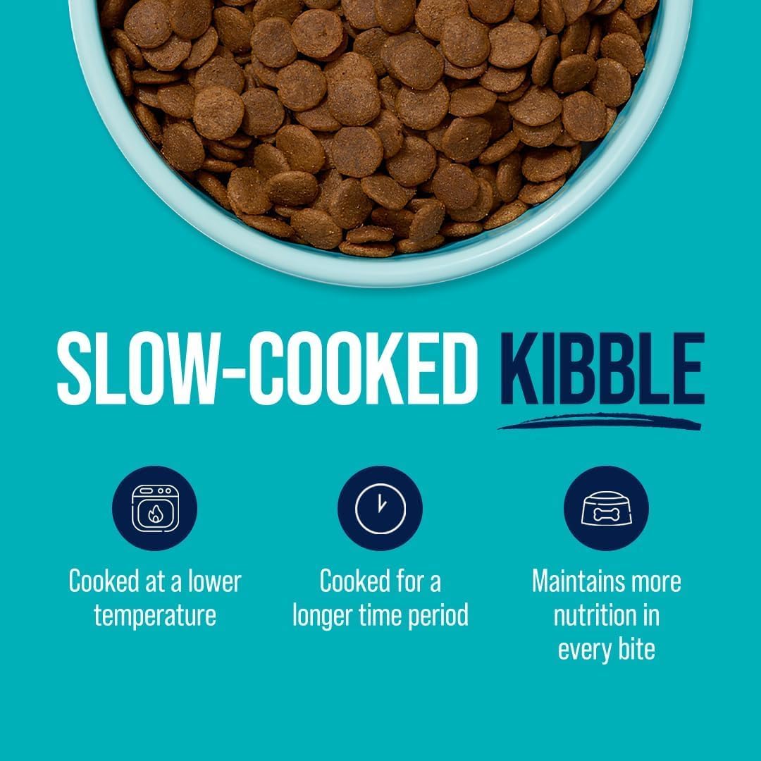 Stewart Raw Coated Dog Food, Salmon & Vegetable Recipe, 10 Pound Bag, Freeze Dried Salmon Powder Coating