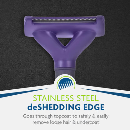 FURminator deShedding Tool For Medium/Large Cats, Short Hair, Removes Loose Hair From Shedding