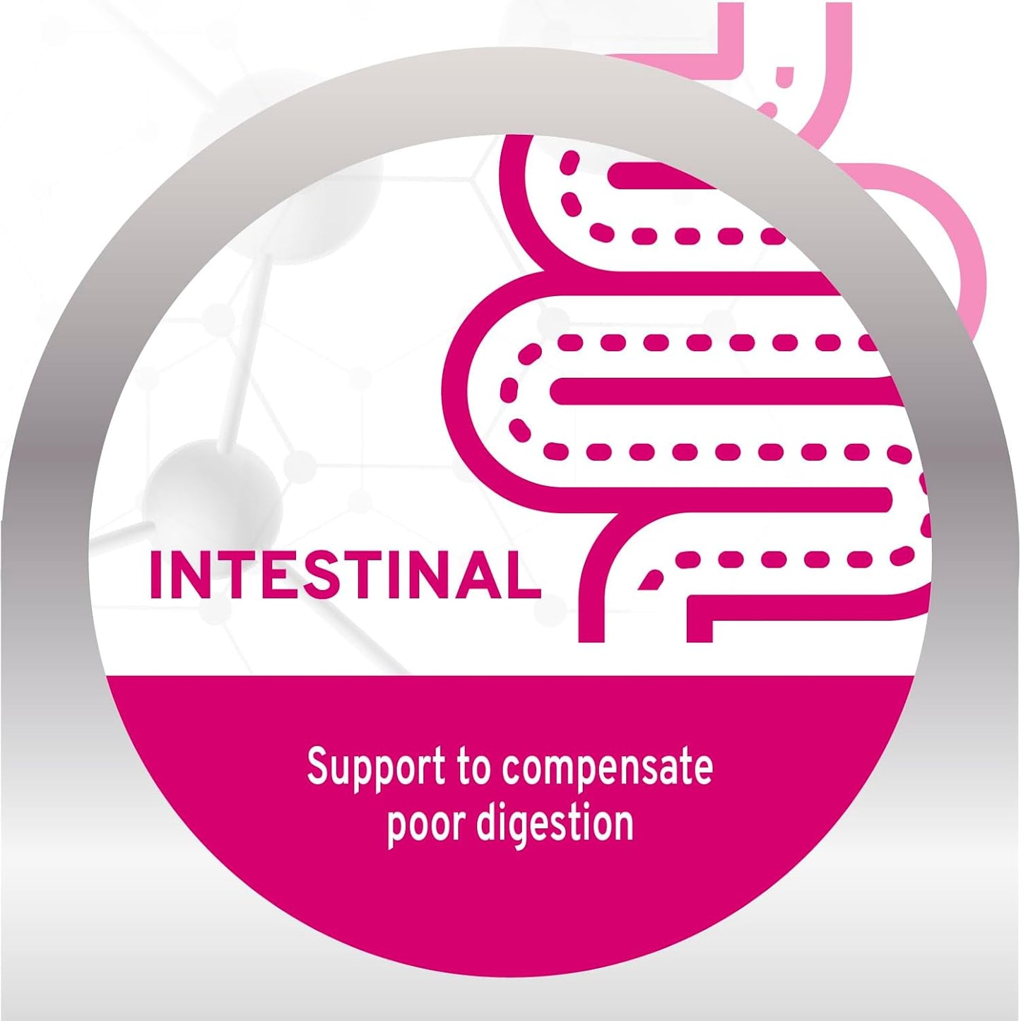 Forza10 - Cat Food, Limited Ingredient Cat Food for Sensitive Stomachs and Digestive Support, Non-GMO, Fish Flavor, Made in Italy (3.3 lb)