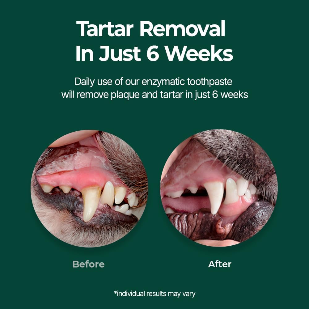 PetO’Dent Enzymatic Toothpaste for Dogs, Freshens Breath & Cleans Teeth, Reduces Plaque & Tartar, Safe for Puppies with No Artificial Ingredients, Oral Biome, Gum Care, 2.47 oz