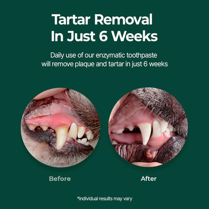 PetO’Dent Enzymatic Toothpaste for Dogs, Freshens Breath & Cleans Teeth, Reduces Plaque & Tartar, Safe for Puppies with No Artificial Ingredients, Oral Biome, Gum Care, 2.47 oz