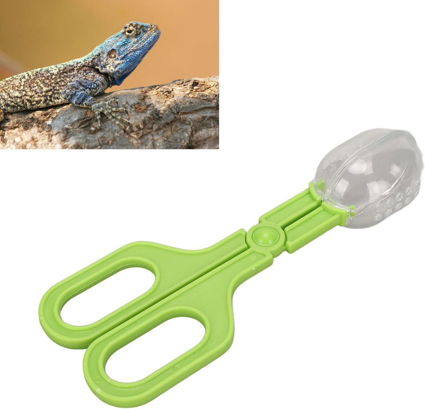 GLOGLOW Reptile Feeding Tool, Reptile Feeding Clamp Reptile Feeding and Cleaning Tool Reptile Poop Scoop with Vents for Tortoise (Green)