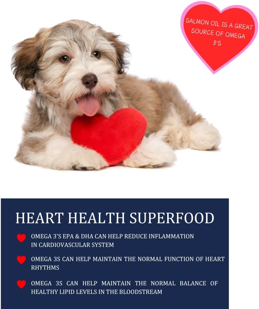 32 oz Wild Alaskan Salmon Oil Formula - Balanced Blend of Pure Fish Oils, with EPA and DHA from Wild-Caught Fish, Support for Skin & Coat, Immune & Heart Health, and Joints