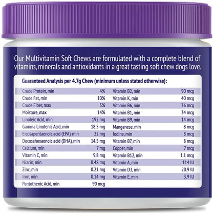 Dog Multivitamins Chewable Supplement - 22 in 1 Dog Vitamins for Itchy Skin & Coat, Immune System, Joints & Overall Health - Vitamins A, B, C, D, E, K & Antioxidants - 60 Chews - Beef Flavor