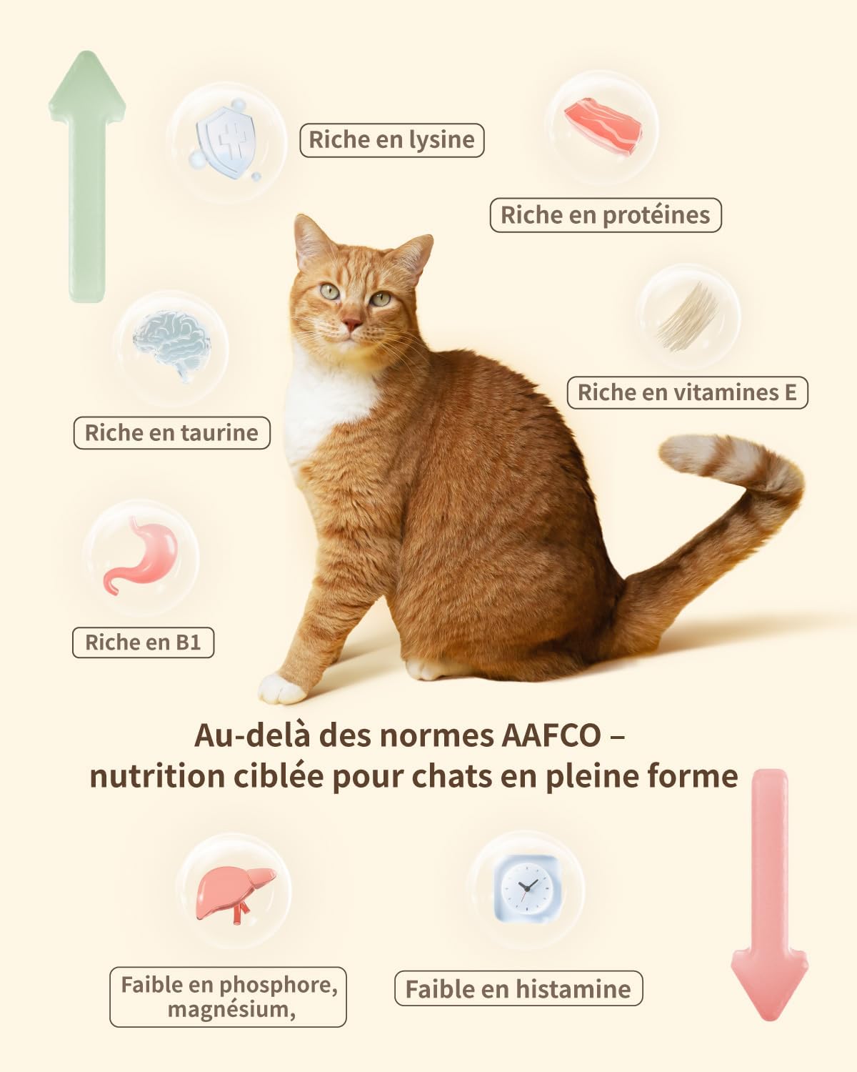 Freeze-Dried Cat Food, 97% Animal Origin Soft Dry Food for Cats Kitten, High Protein Healthy Freeze Dried Cats Raw Treat & Topper (Pork Recipe - 14 Ounce)