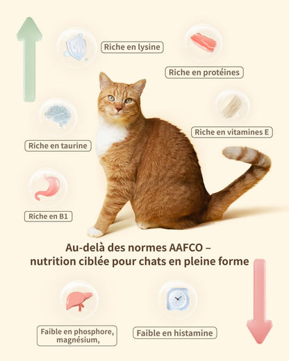 Freeze-Dried Cat Food, 97% Animal Origin Soft Dry Food for Cats Kitten, High Protein Healthy Freeze Dried Cats Raw Treat & Topper (Pork Recipe - 14 Ounce)