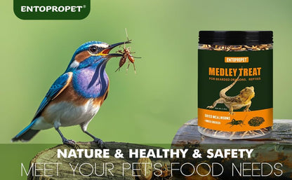 Dried Mealworms and Dried Crickets - Higher in Calcium and Richer in Protein-A Premium Medley Treat Food for Bearded Dragons,Turtle, Birds & Tropical Fish, 3oz