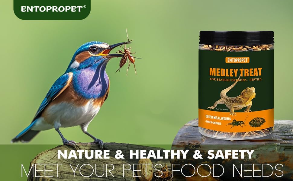 Dried Mealworms and Dried Crickets - Higher in Calcium and Richer in Protein-A Premium Medley Treat Food for Bearded Dragons,Turtles, Birds & Tropical Fish, 5oz