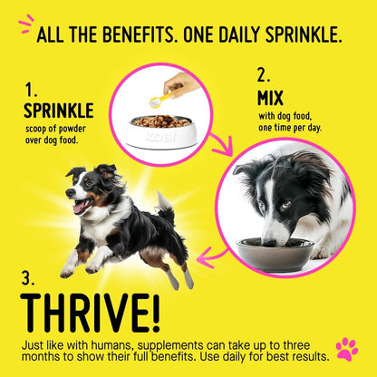 Koby Dog Probiotic Powder – Made with Clean USDA Organic Ingredients for Gut, Digestive, Skin & Immune Support – Vet-Inspired Probiotics for Dogs of All Ages – 7 Billion CFUs, 60 Servings