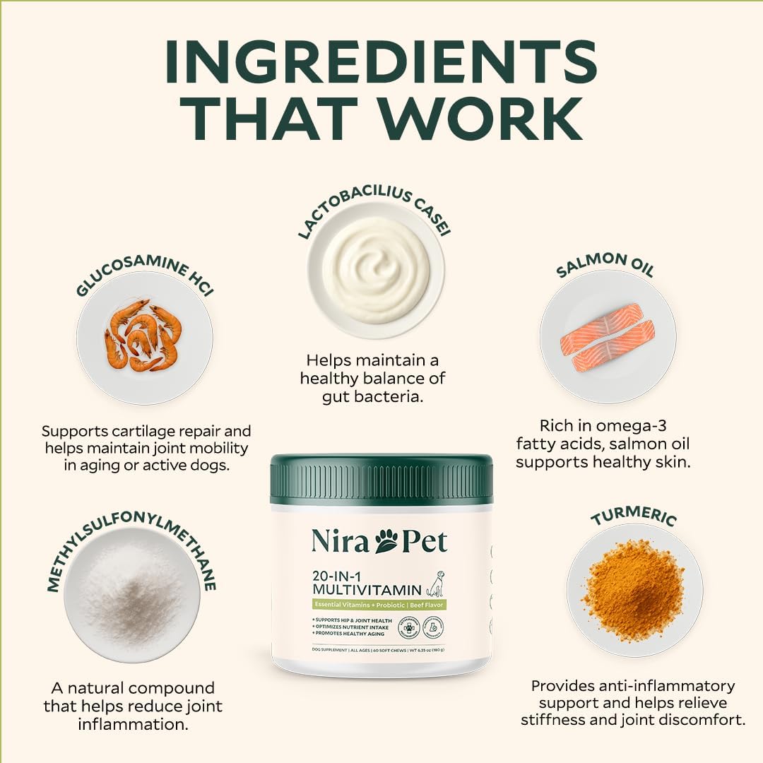 20-in-1 Multivitamin for Dogs – Beef Flavor – 60 Soft Chews with Glucosamine, Probiotics, MSM, Turmeric & Salmon Oil – Joint, Skin, Coat & Digestive Support