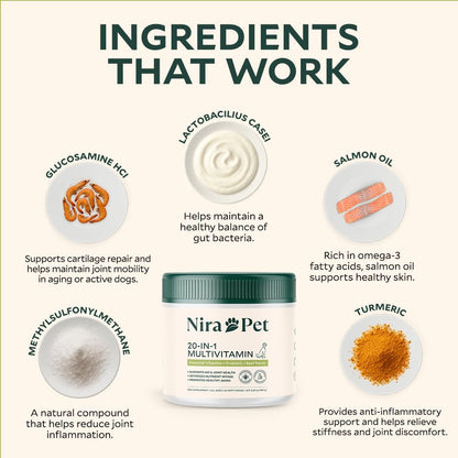 20-in-1 Multivitamin for Dogs – Beef Flavor – 60 Soft Chews with Glucosamine, Probiotics, MSM, Turmeric & Salmon Oil – Joint, Skin, Coat & Digestive Support