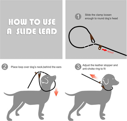 Fida Durable Slip Lead Dog Leash, 6 FT x 3/8" Heavy Duty Comfortable Strong Rope Slip Lead for Small Dogs and Puppies, No Pull Pet Training Lead with Highly Reflective(3/8", Black)