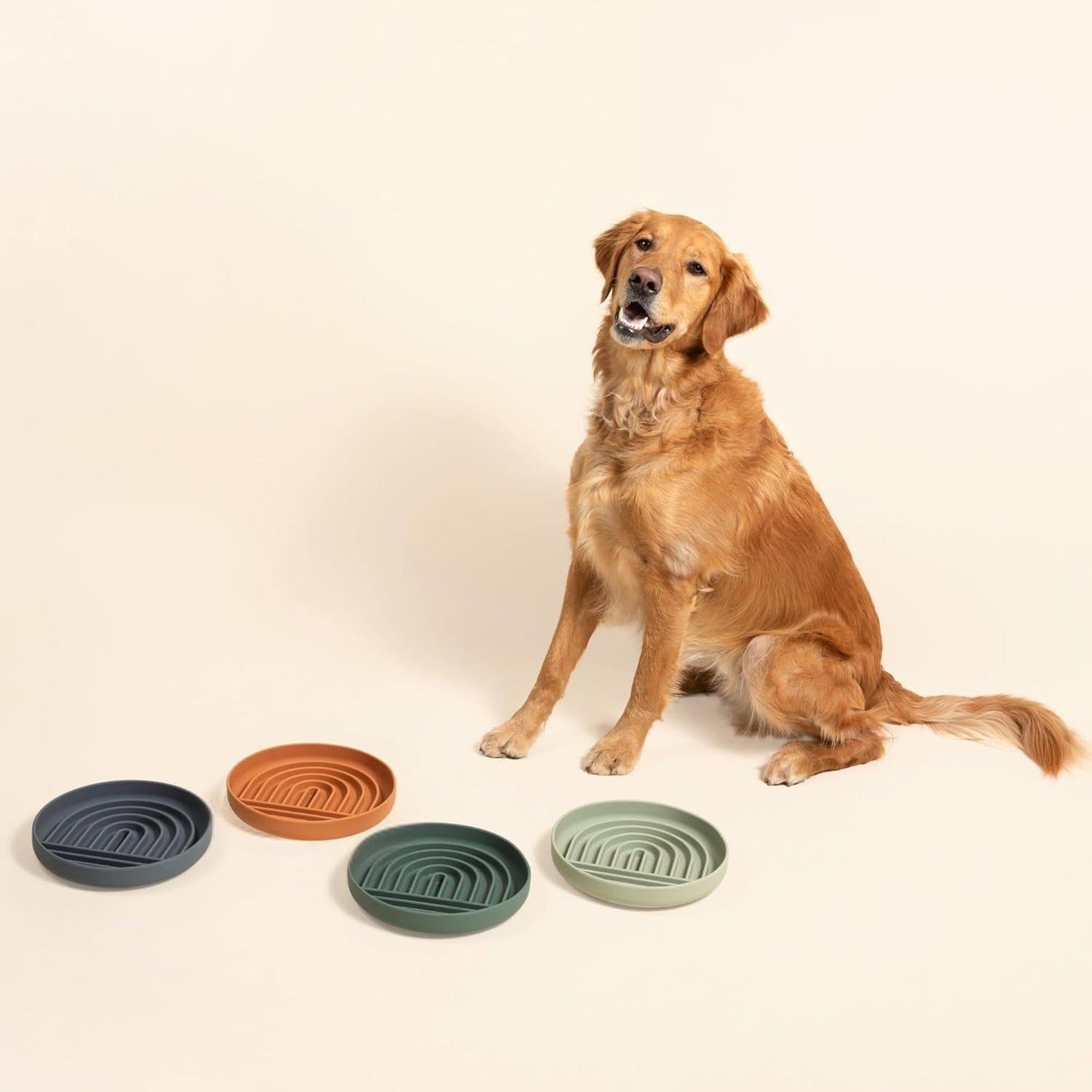 Should We Go? Slow Feeder for Dogs & Puppies, The Slowdown Bowl Silicone Slow Eating, Modern Lick Mat Design, Reduces Gulping, Fits 2.5 Cups, 9.5” Across x 1.5” Tall, Mealtime Challenge, Large-Spruce