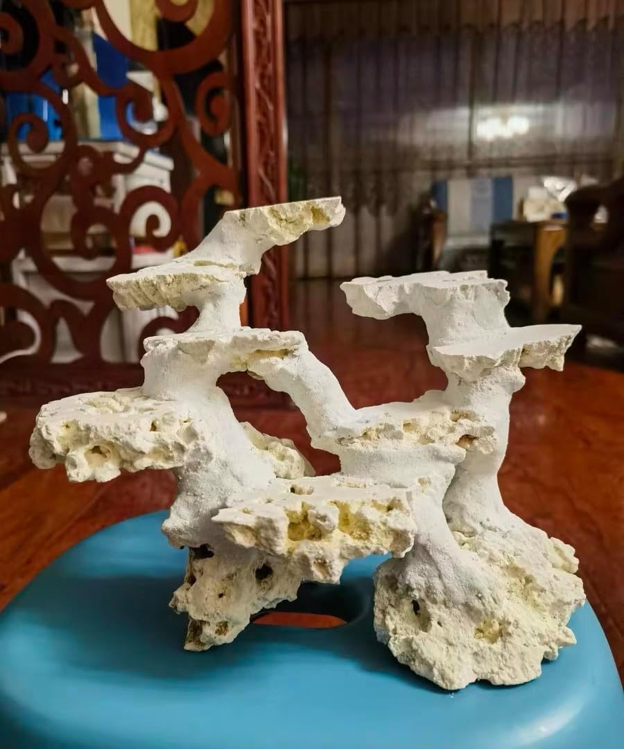 Dry Base Rock for Aquarium White Coral Ornament Sea Base Rocks for Aquarium Aquascaping (7lb,Mix Size & Shape)