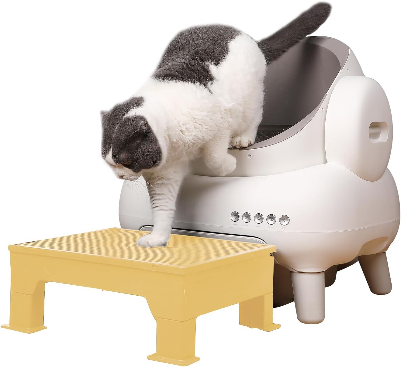 PAKEWAY Cat Ramp for Litter Box, Adjustable Elevated Cat Litter Box Step, for Automatic Litter Boxes & High - Entrance Litter Boxes - Ideal for Small & Elderly Cats