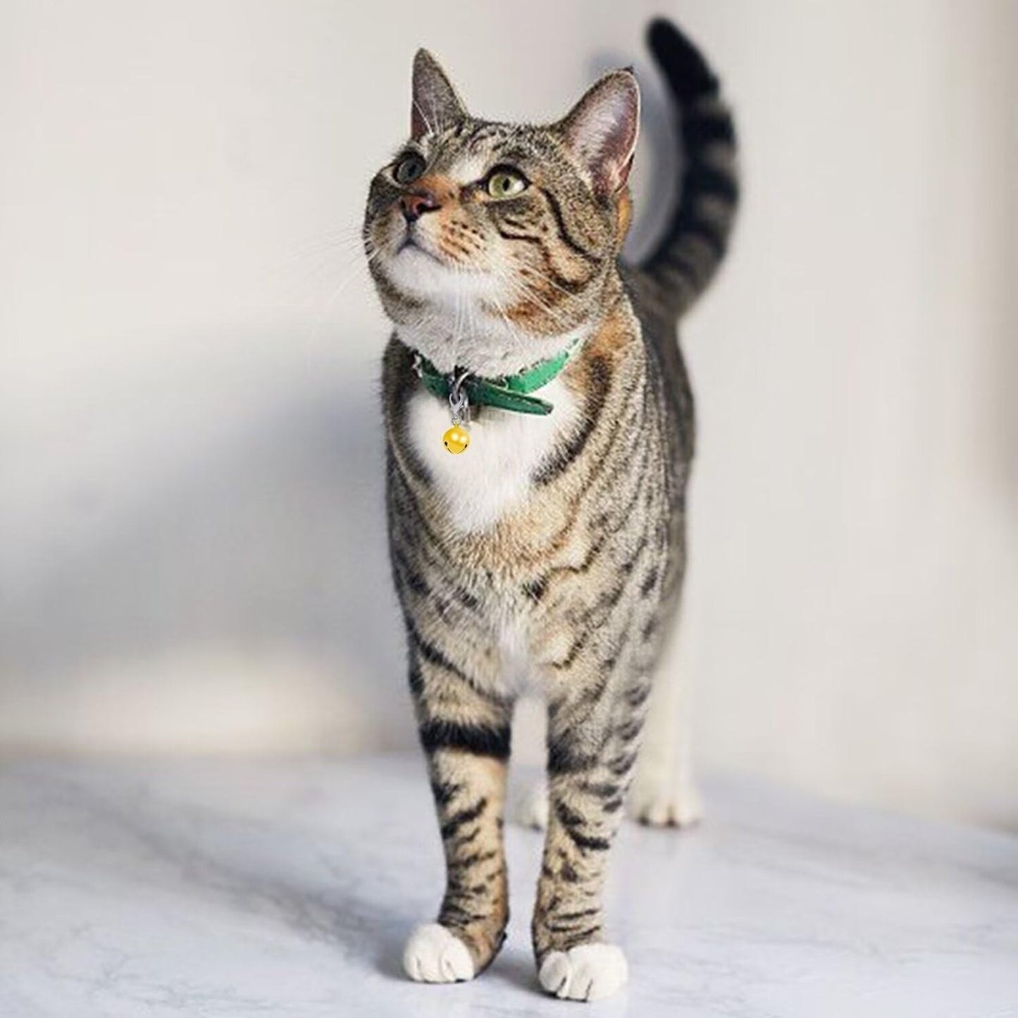 Pet Bells for Dog Cat Collar 6 pack,Charm Pet Pendant Accessories with1 Pack Stainless Steel Keychain