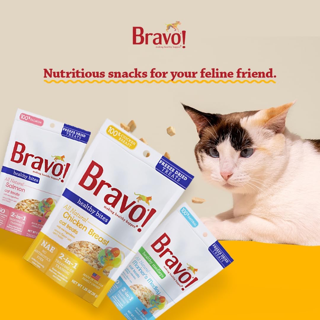 Bravo! Healthy Bites Single Ingredient Freeze Dried Raw Cat Treats, Salmon, 1 Ounce, High Protein, Grain Free, Gluten Free (Pack of 3)