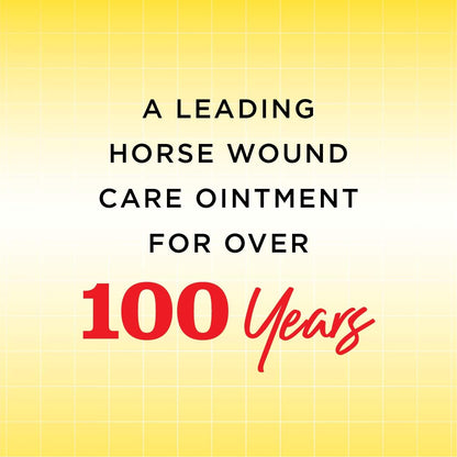Manna Pro Corona Ointment for Horses | Lanolin-Based Formula Helps Sooth Irritation | 14 Ounces