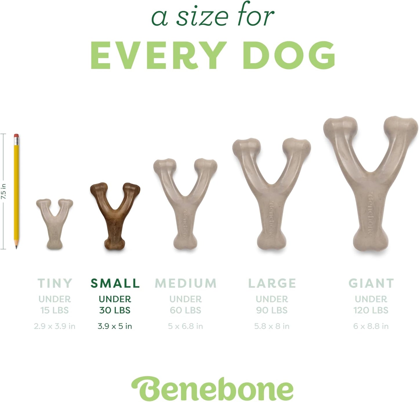 Benebone Wishbone Durable Dog Chew Toy for Aggressive Chewers, Made in USA, Small, Real Bacon Flavor