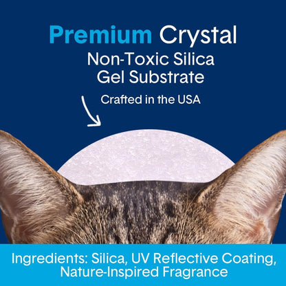 Boxie® Glo™ 30 Day Odor Control Non-Clumping Crystal Cat Litter, 6 lb, Natural Attractions, UV Light Attractant, Soft Granules, 99.9% Dust-Free, Long-Lasting for Multi-Cat Homes