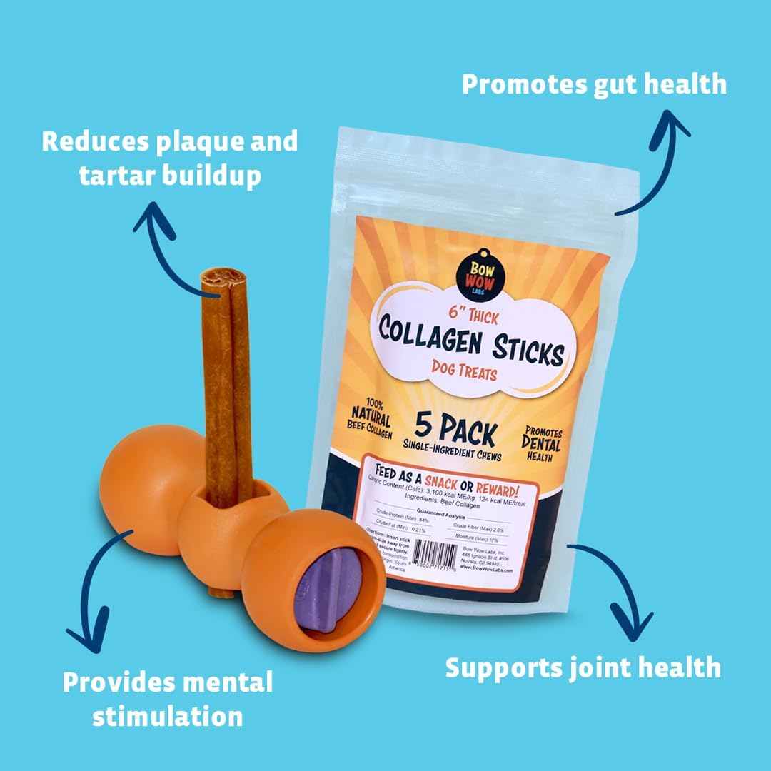 Bow Wow Labs 12" SafeFit Collagen Sticks for Dogs 5 Pack/Thick – All-Natural Chews for Joint, Gut, Bone & Oral Health