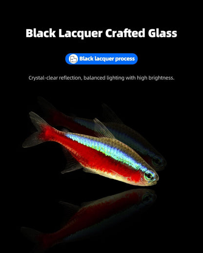 5 Gallon Clear Glass Fish Tank, Easy to Maintain Small Aquariumfor Betta, Goldfish, Snail,Shrimp and Aquatic Planting