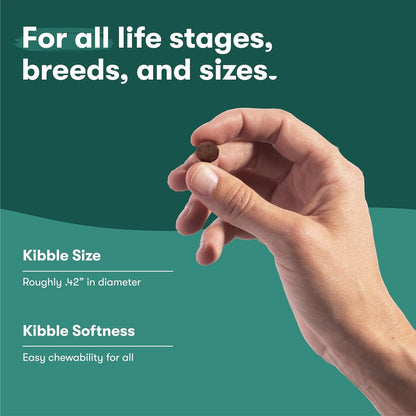 Jinx Premium Dog Food Bundle, Beef - 4lb Grain-Free Dry Dog Food, Kibble Sauce & Homemades Wet Food Pouches (9-oz)