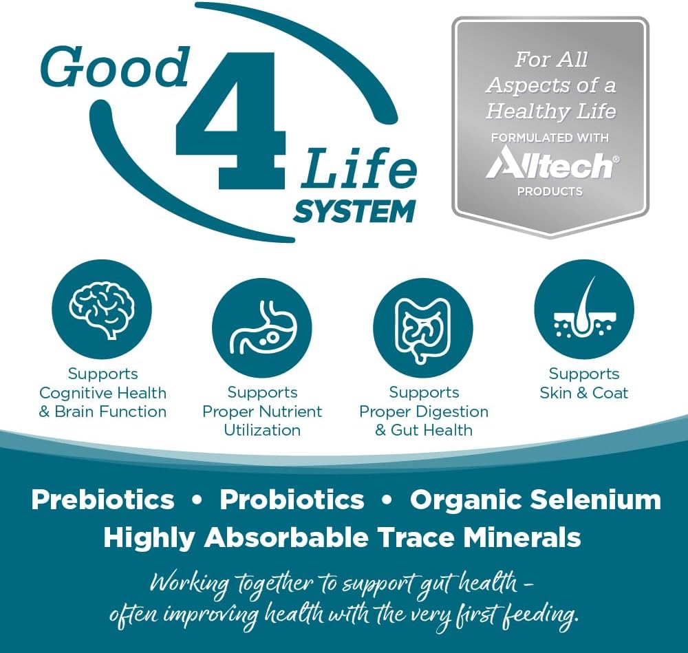 NutriSource Chicken & Rice Recipe Dog Food, Premium Wet Dog Food, 12.3 Ounce (Pack of 12)