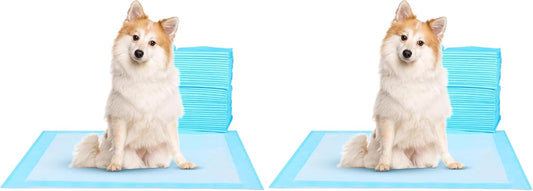 Super Absorbent Waterproof Dog and Puppy Pet Training Pad, Housebreaking Pet Pad,Blue (22"x22"(100PCS)) (Pack of 2)