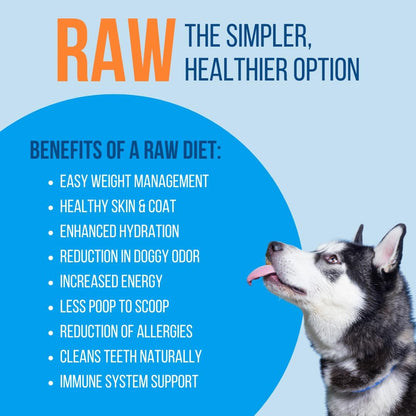 Premium Freeze-Dried Raw Beef Patties for Dogs – 100% USA-Sourced Raw Meat Dog Food – Grain-Free, No Fillers, High Protein Nutrition for Small & Large Breeds