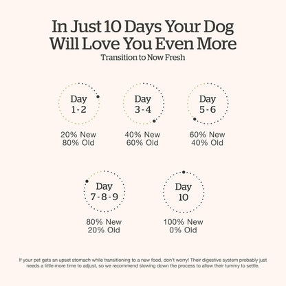 Now Fresh Good Gravy Premium Dry Dog Food with Chicken & Ancient Grains for Small Breeds, Healthy Kibble for Adults Coated in Bone Broth – Just Add Water to Moisten, Made with Real Meat, 12 lb Bag