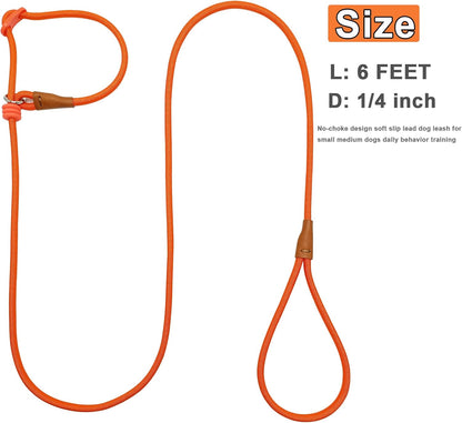 7ft Slip Lead Dog Leash + 6ft Slip Lead Dog Training Leash for Small Dogs, Black+Orange